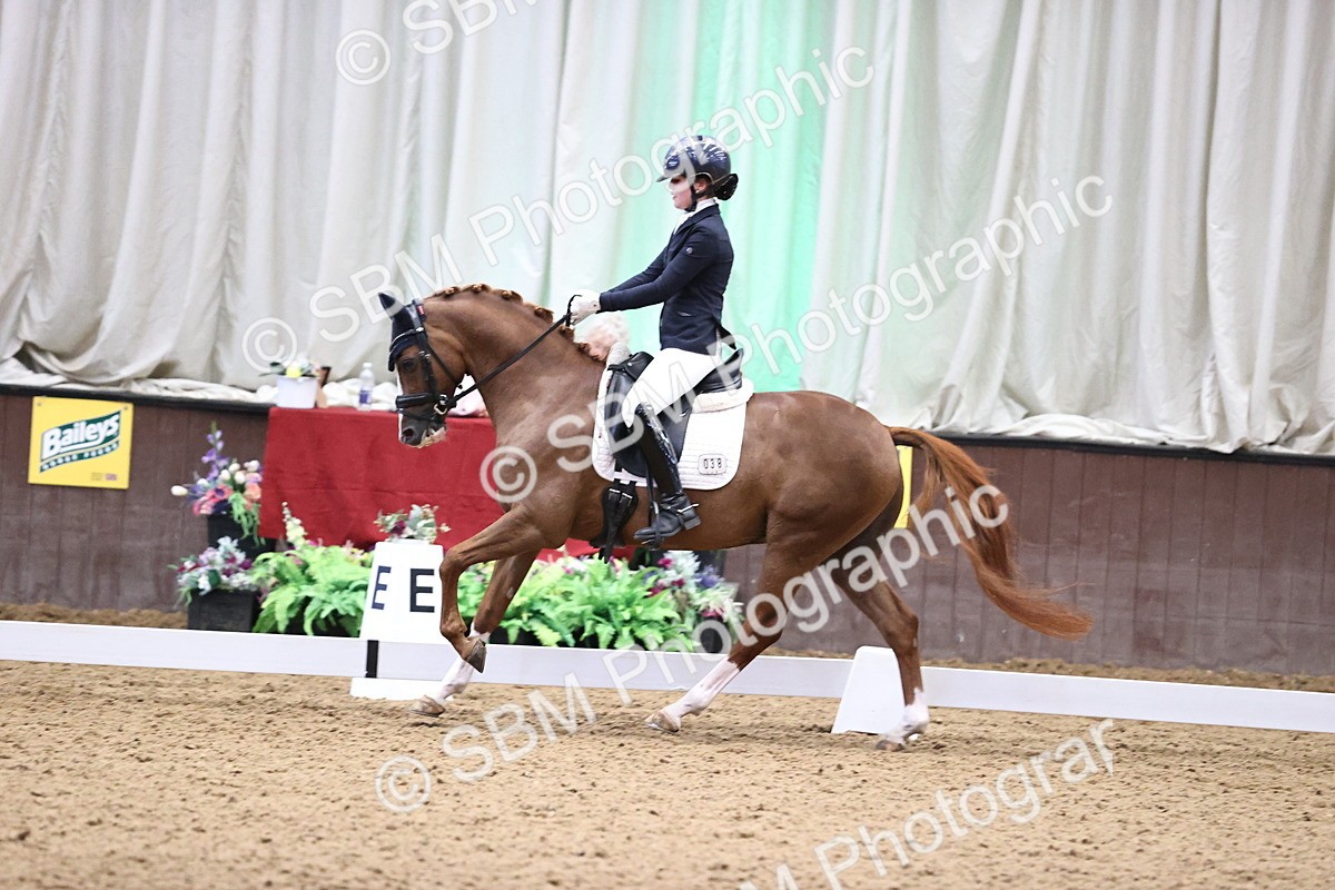 SBM_008429 - Class 15 - FEI Junior Pony Team-YR-COH
