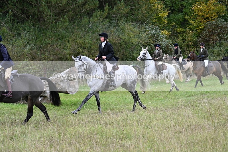 WJ7_3814 - Camera 1 Line 1