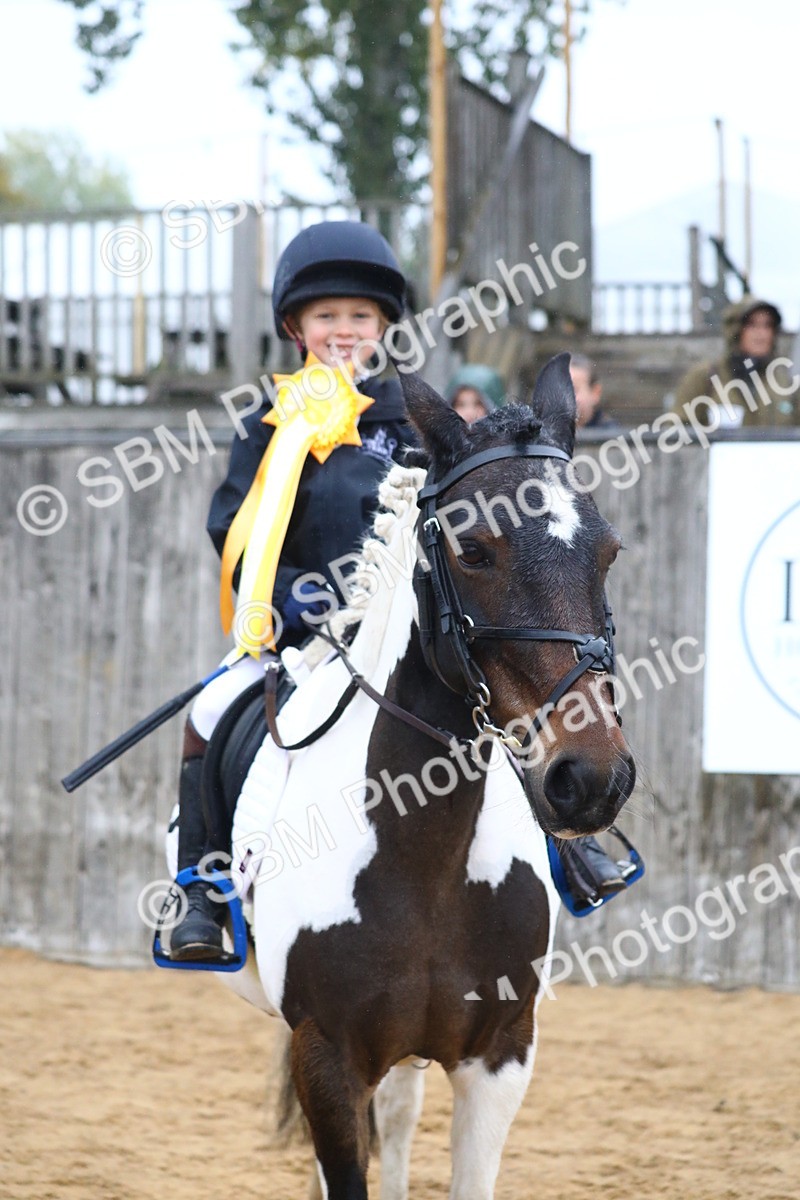 SBM_71885 - J4 - Mini Tour Junior Pony 45cm Championship