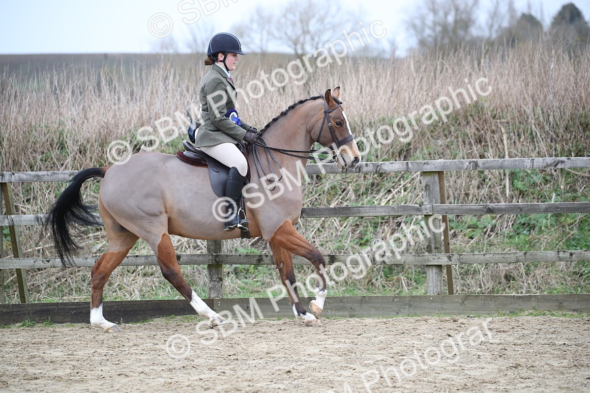 SBM_004693 - Class 5-9 - NPS In Hand-Show Hunter-Intermediate Ridden Inc Ridden Championship