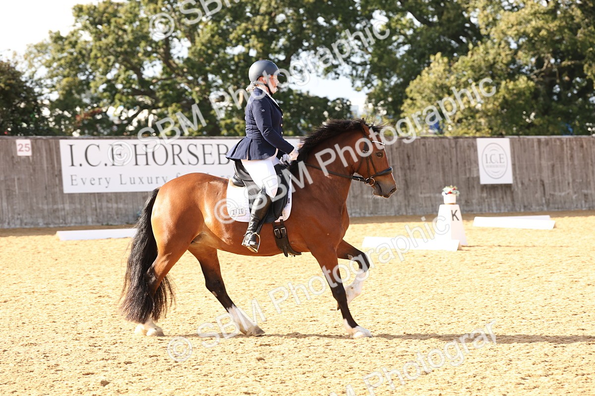 SBM_27023 - D17 - Grand Tour Championship Novice 3