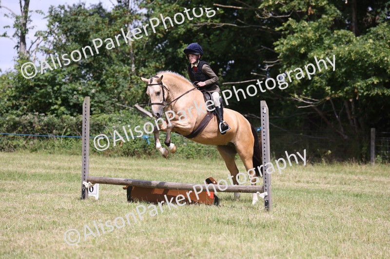 20260614-1779 - Class 21 - Novice Working Hunter Pony