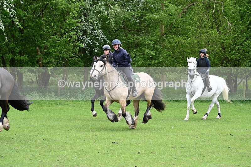 WJ7_2535 - Group 6 A&B Cameras