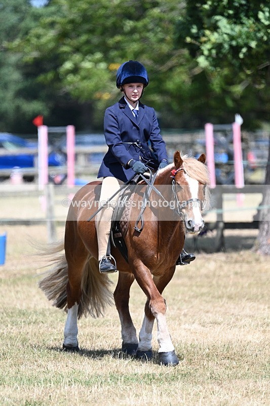 WJ7_3374 - Class 8 Ridden Veterans
