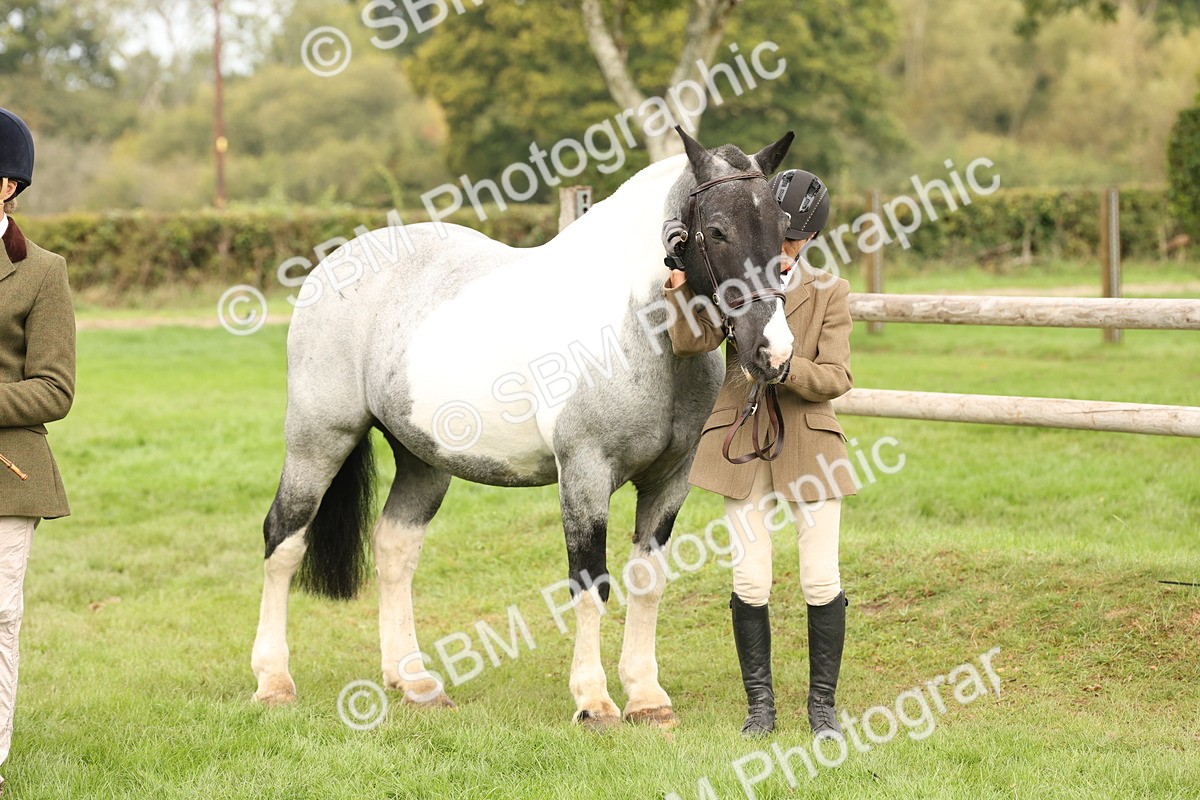 SBM_57525 - S56 - Show Cob in Hand