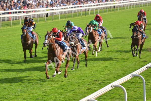 yr05092021r5-39 - Race 5 4.20pm Little Green Rascals Children's Nurseries Stakes