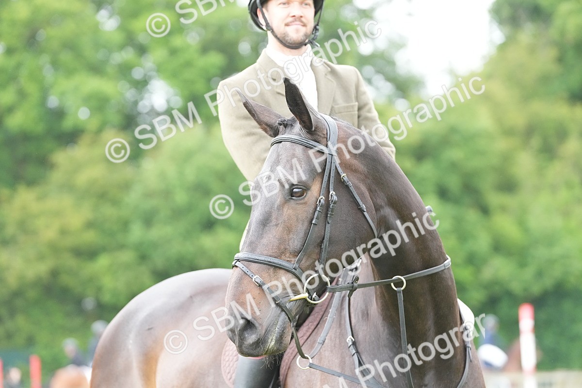 SBM_12691 - Class 97-98 - LIHS BSHA Rising Star Working Show Horse Hunter