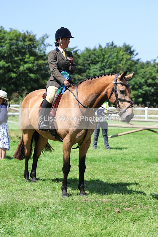 3E7A9278 - Working Hunter Championship