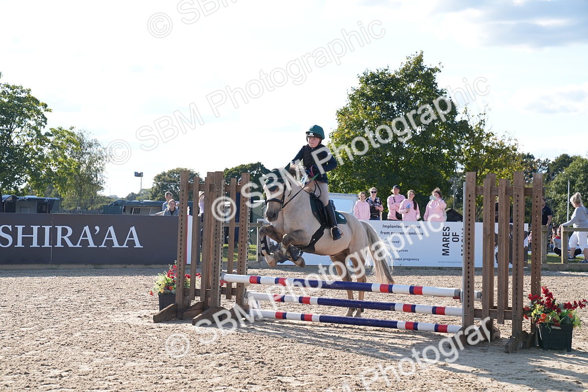 SBM_27934 - J43 - Super Speedy Scurry Open - 60cm