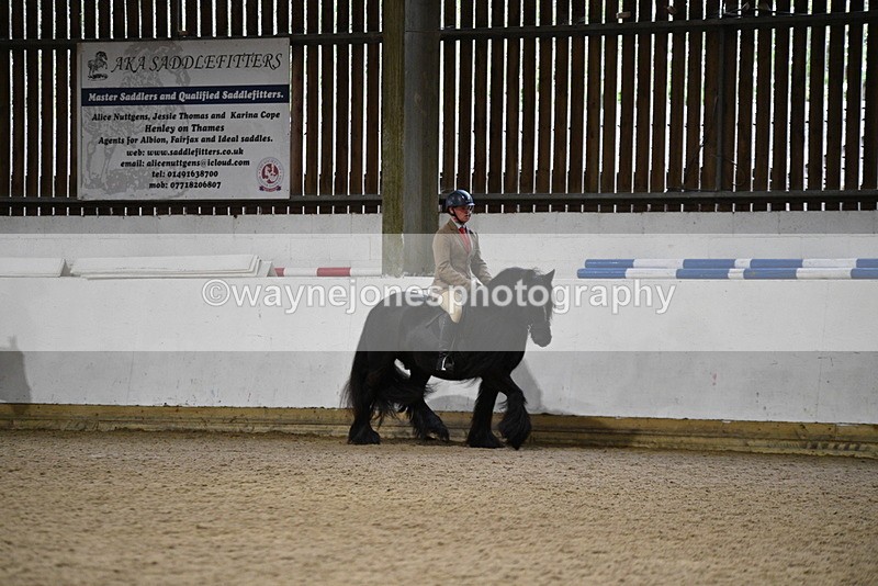 WJ5_8119 - Class 14 Novice Ridden/Rider