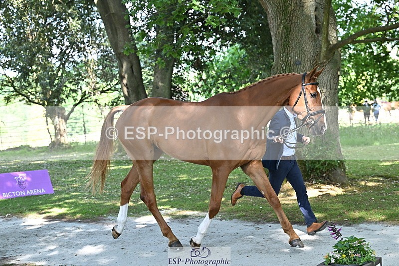 250521A-154234-00707 - B-354-Oliver.Thompson-LAGANS.RICE.STAR