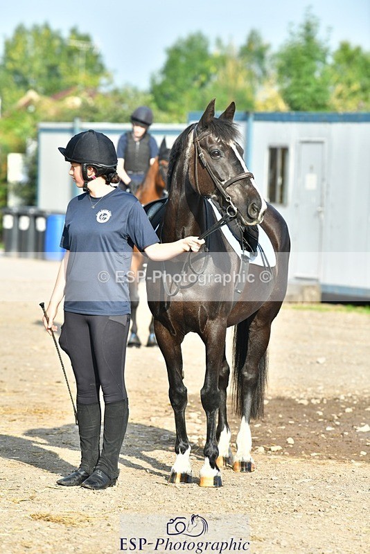 230817-083502-02419 - Stable Shots