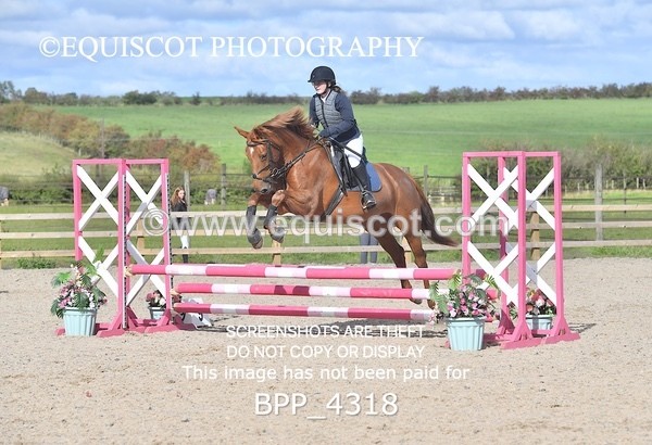 BPP_4318 - CLASS 6 HORSE 60CM FINAL