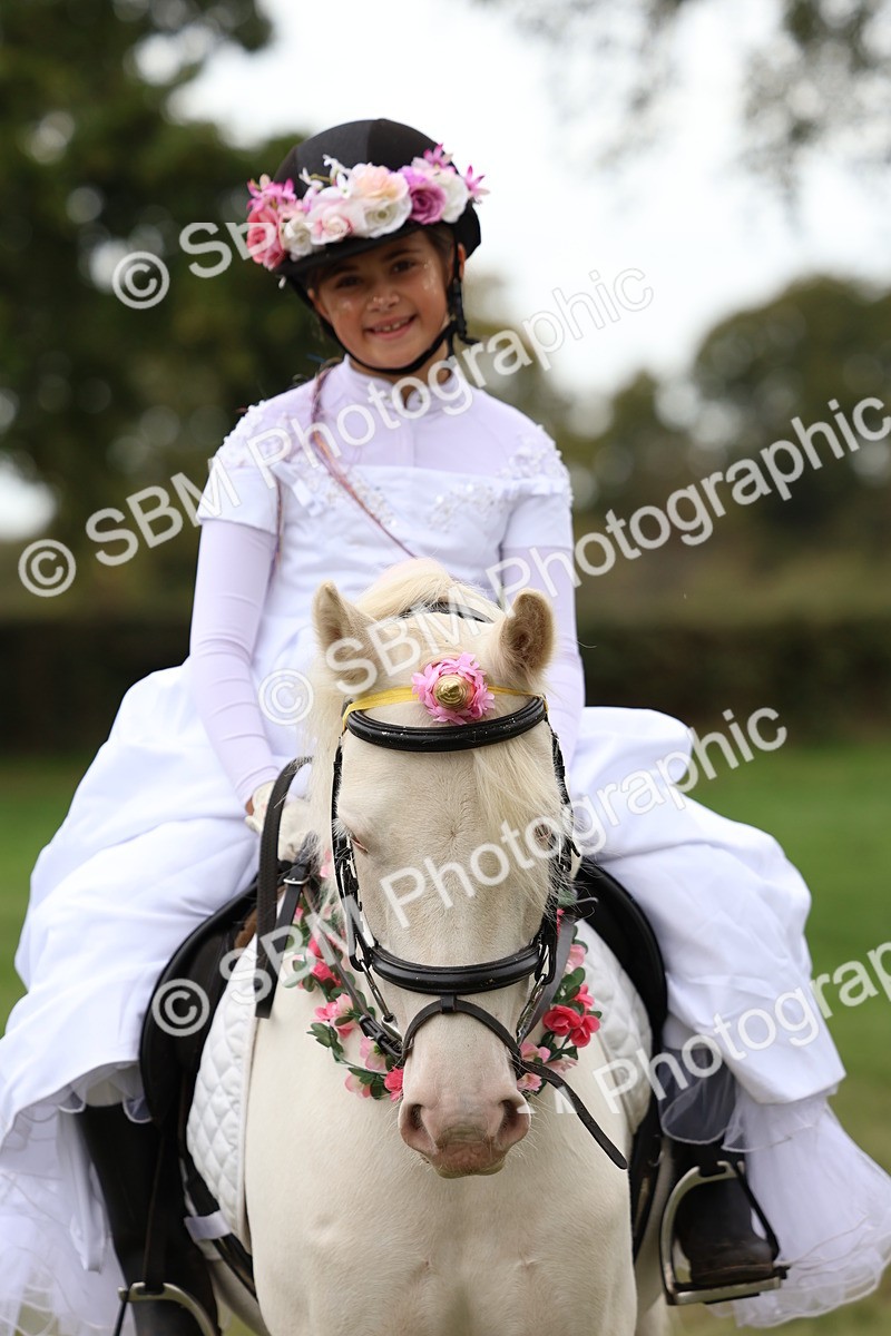 SBM_62167 - S37b - Best Unicorn