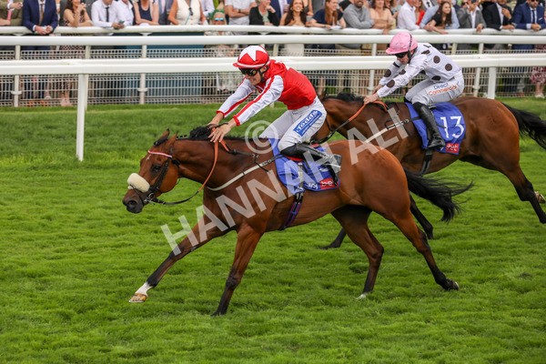 270724-Race 1-Night On Earth-4617 - Race 1 2.05pm Sky Bet 'Jump Jockeys' Nunthorpe' Handicap