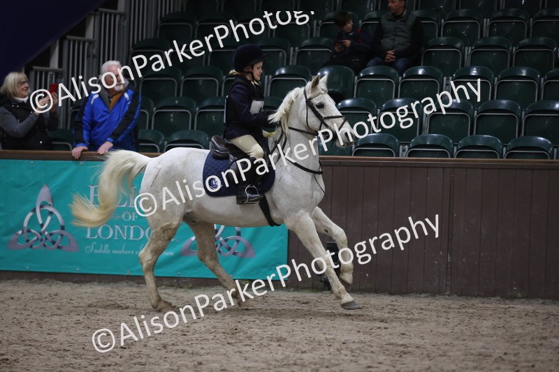 20260125-3419 - Class 3 - 60cm