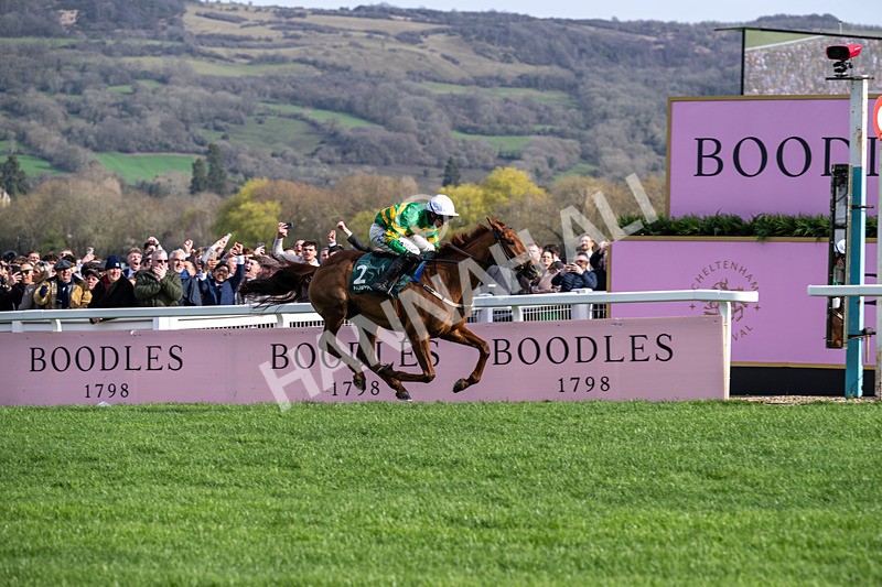 130326-Race 3-Dinoblue-2038 - 13th March
