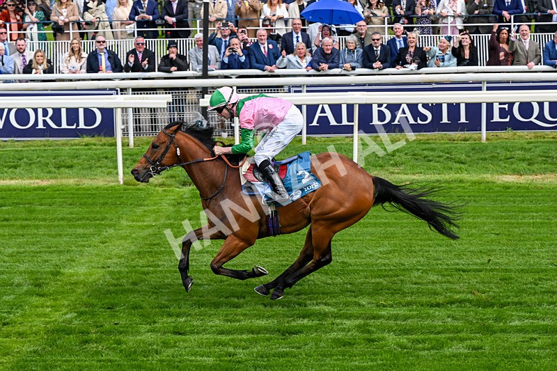 140526-Race 2-Jakajaro-0101 - Race 2 2.20pm Lindum York Handicap
