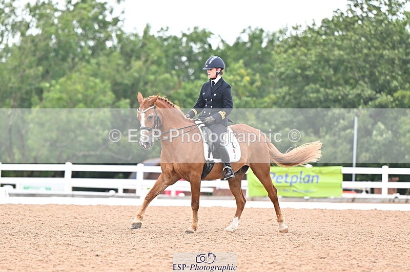 240815A-140336-01744 - 170-India.John-Grayswood.Orlando