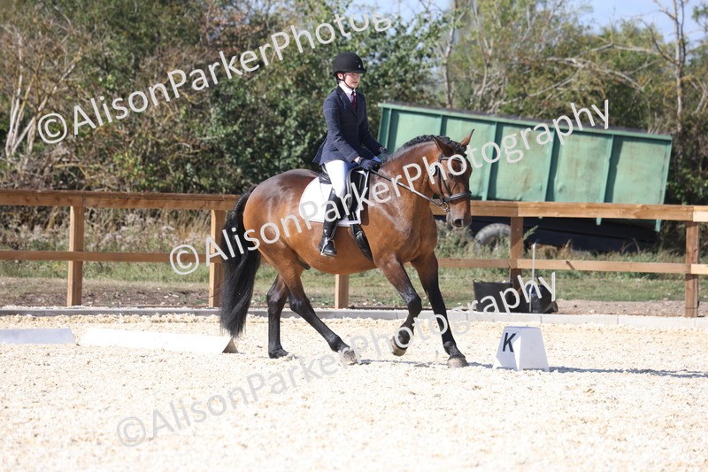 20260905-1598 - Class 5 - Novice 2