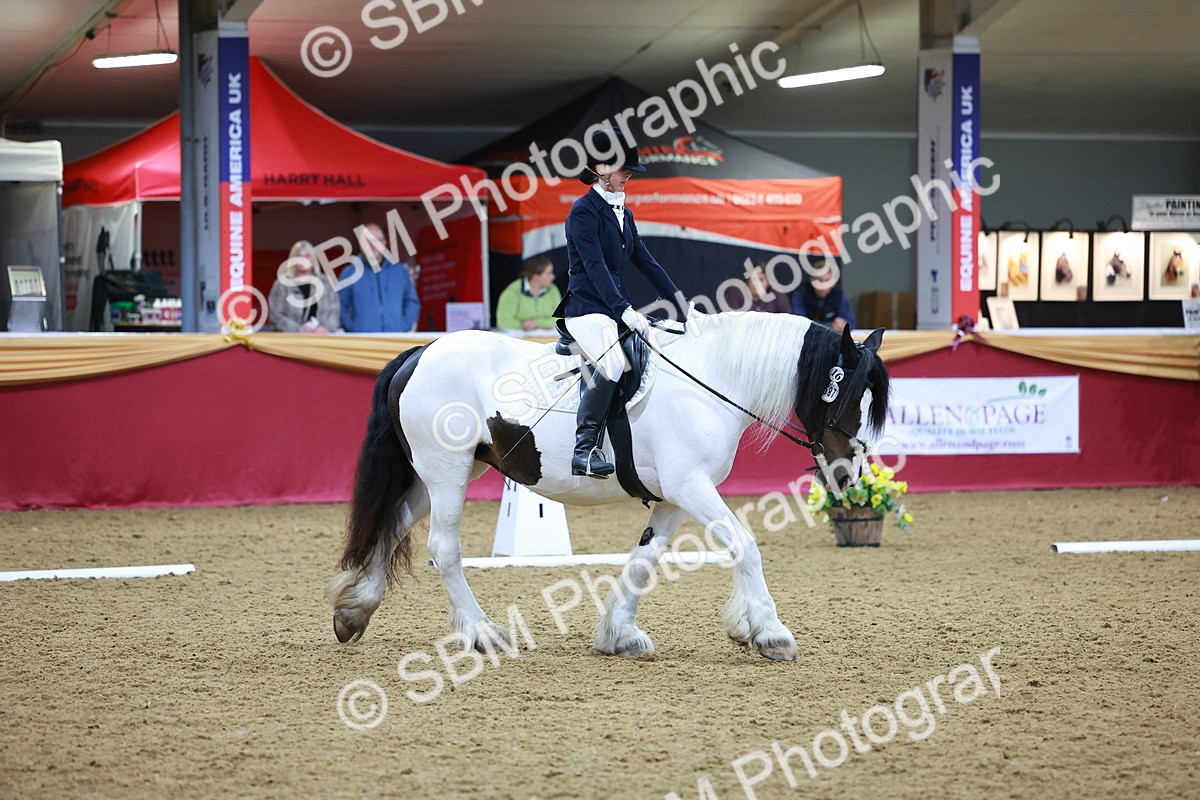 SBM_06639 - Class 61 - Dressage to Music