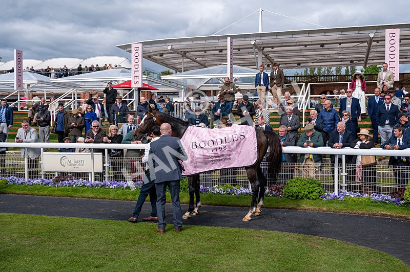 150526-Race 5-Rahiebb-2984 - Race 5 4.05pm Boodles Yorkshire Cup Stakes
