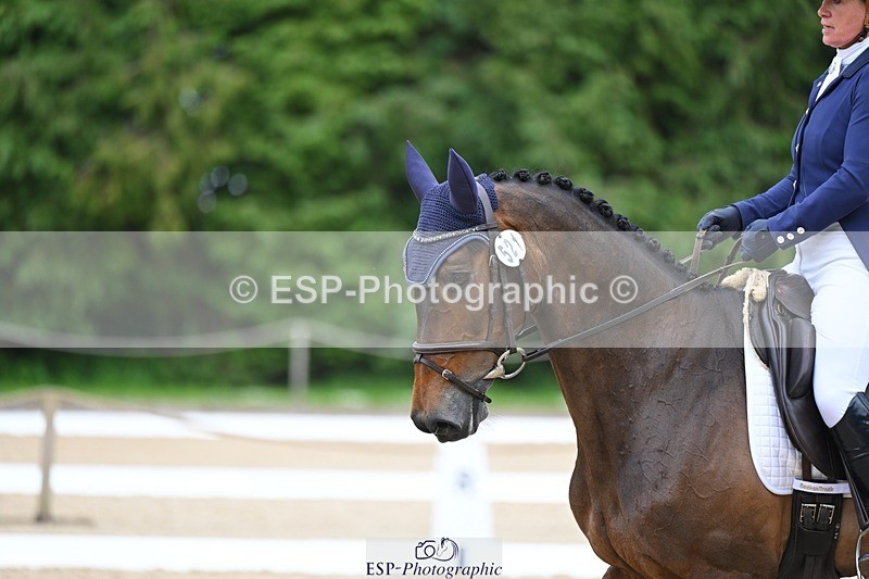 240524-114531-09017 - 521-DIVALI-Elaine_Pen