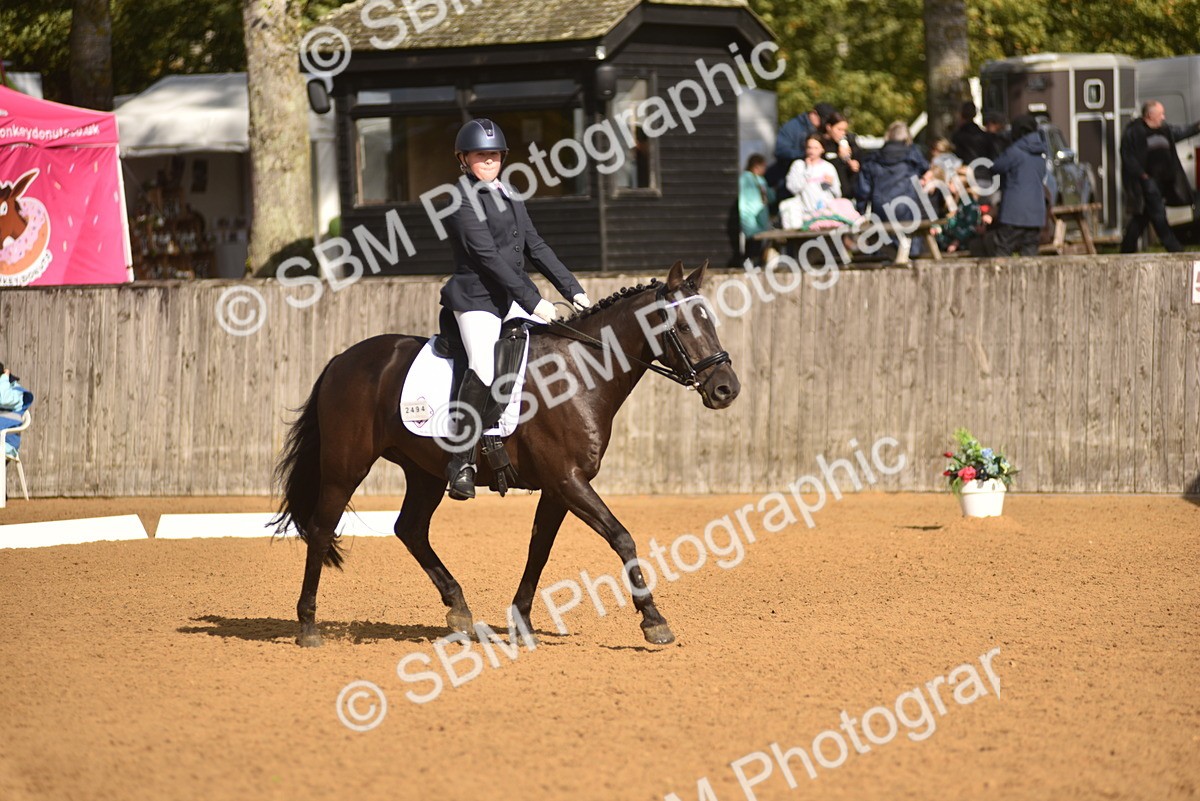 SBM_48884 - D22 - Junior Championship Intro 3