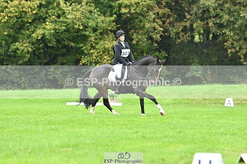 241024-121254-02667 - 323-Nicky.Blastland-FOUNDATIONS.HUSTLER