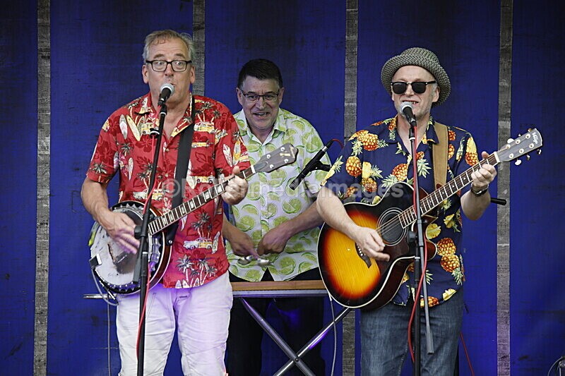  - ELMSTOCK 2019 the music makers
