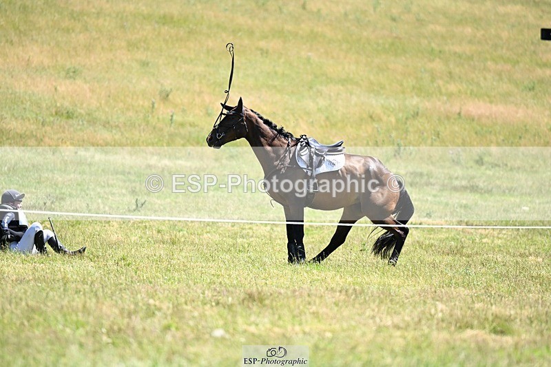 240629X-142625-4188 - 201-Millie_Bloomfield-JINX