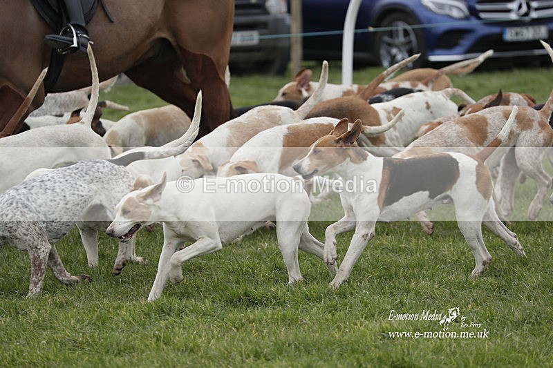 PtP 050323 521 - Blackmore & Sparkford Vale Hunt PtP - Somerset 05/03/23