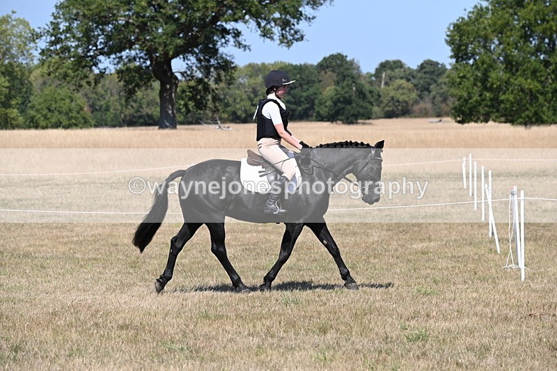 WJ6_8787 - Class 38 Ridden Riding Horse/Pony
