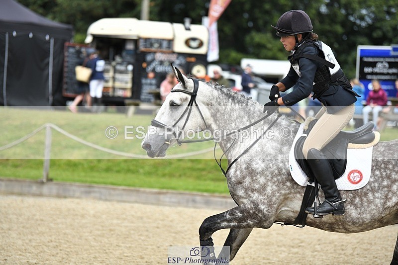 230827-114901-24208 - SJ 11.30 to End