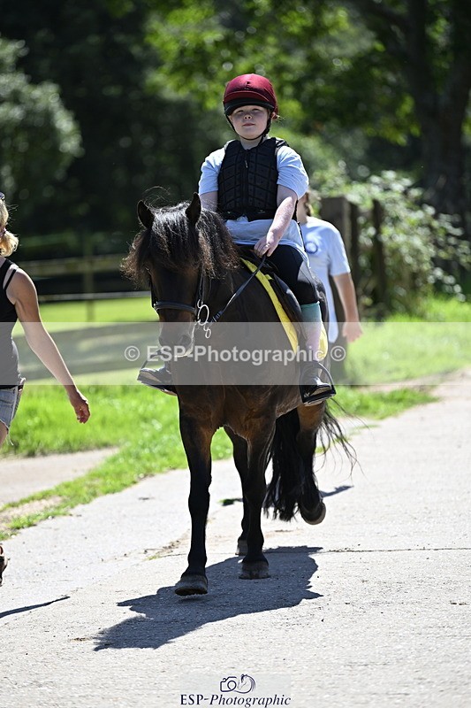 240728B-141749-00505 - Theo and Gemma's Groups Indoor