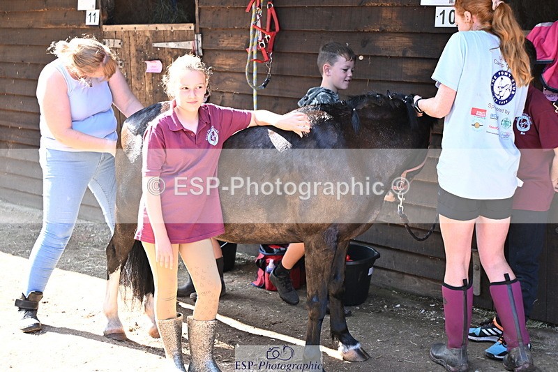 240729B-091720-01761 - Monday Stable Shots