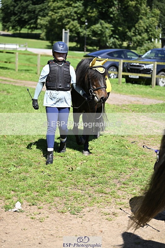 240728B-113614-00305 - Sunday Stable Shots and Fancy Dress