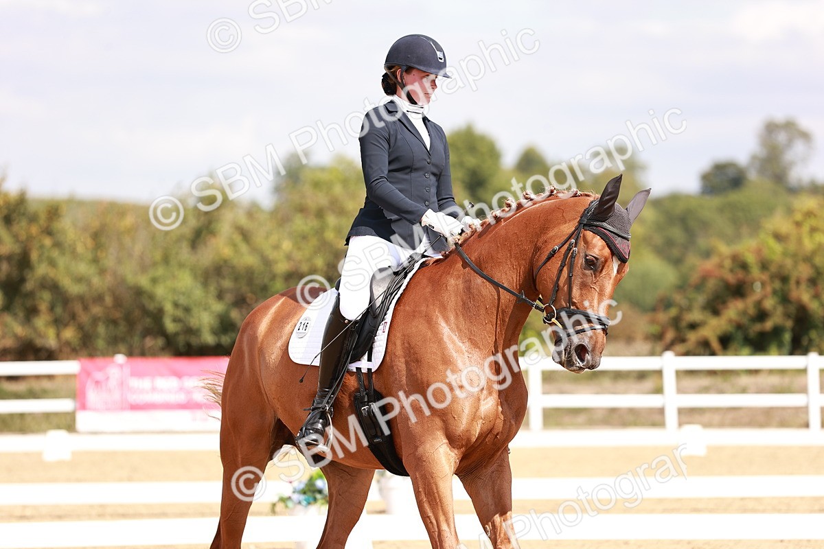 SBM_018478 - Class 17 - Novice 6