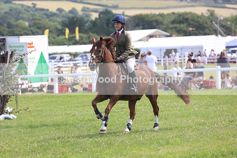 JPP_3679 - Class 23: Working Hunter 80cm