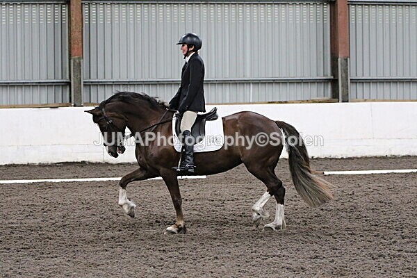 SIAL4624 - CAbin Dressage 5th july 2025