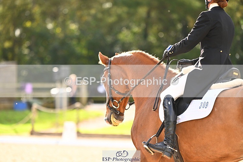 231020-144138-10017 - 309-CROSSTOWN.FINTANS.LAST-Catherine.Burrell-DR