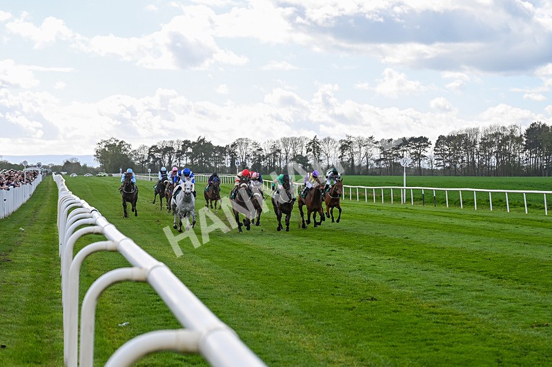 180426-Race 5-Kosometsuke-2486 - Race 5