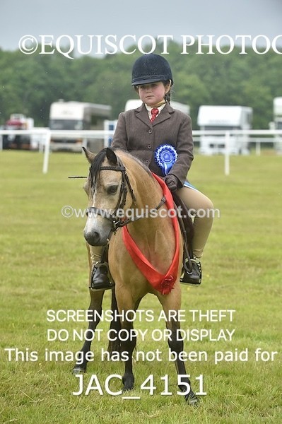 JAC_4151 - 40CM WORKING HUNTER