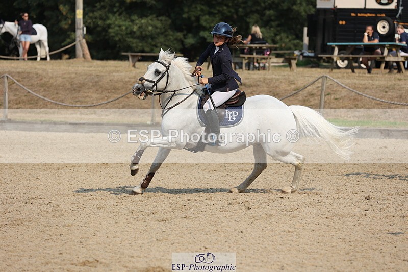 250816A-095814-00587 - Cls 2 Club 80cm