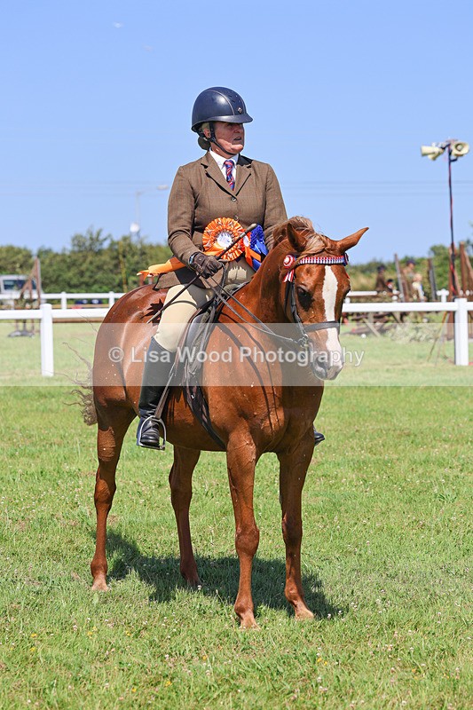 IMG_2258 - Class 37: Pure, Anglo & Part Bred Ridden Arab