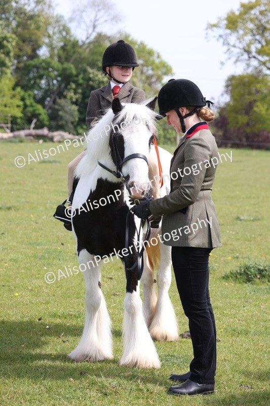 20260426-2630 - Class 31 - Leading Rein