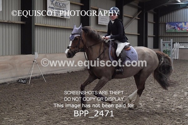 BPP_2471 - CLASS 16 Pony BritiNovice / 0.80m Open