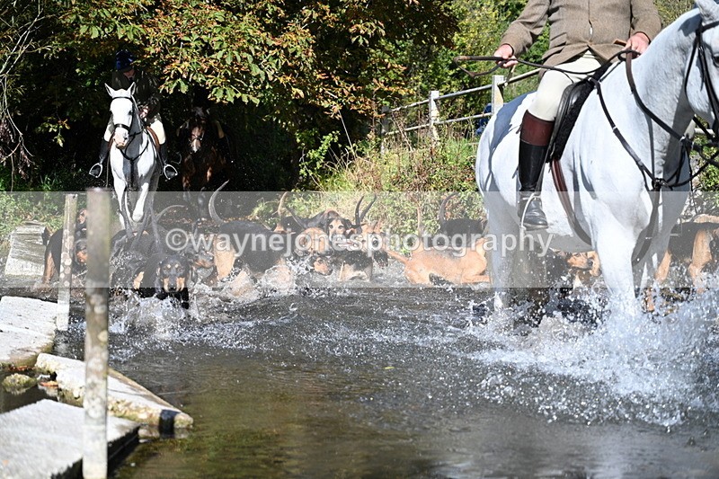 WJ7_5953 - Hounds Water Crossing