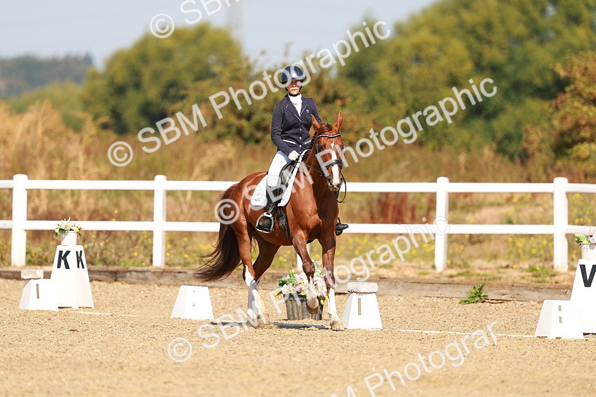 SBM_017615 - Class 9 - N5 Bronze 10.33.11.36