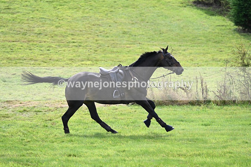 WJ7_7425 - Time 13:21 to 13:29